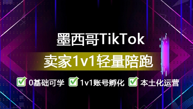 tiktok轻量陪跑实战营